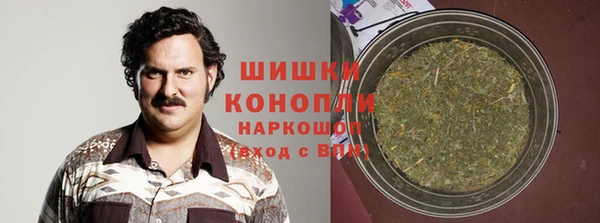 эйфоретик Арсеньев