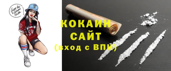 эйфоретик Арсеньев