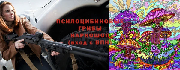 ПСИЛОЦИБИНОВЫЕ ГРИБЫ Аркадак