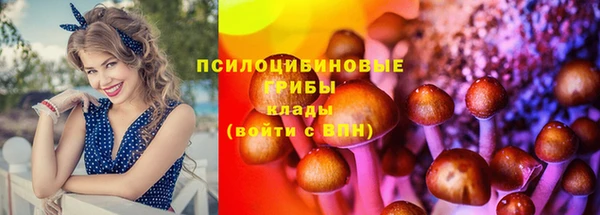 эйфоретик Арсеньев