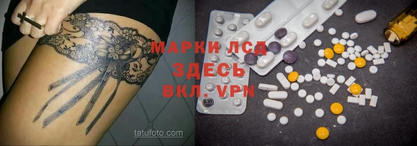 ПСИЛОЦИБИНОВЫЕ ГРИБЫ Аркадак