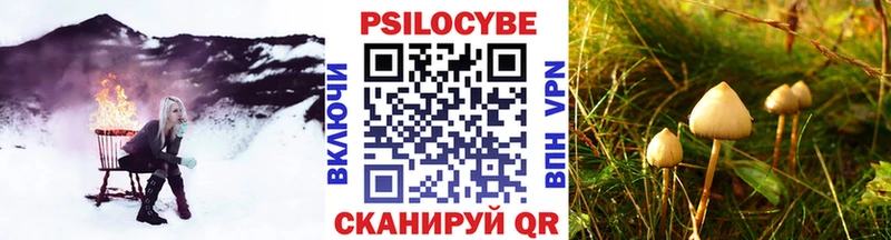 Галлюциногенные грибы Cubensis  Белокуриха 